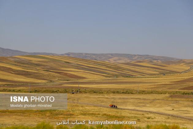 برآورد سطح زیرکشت ۳ محصول استراتژیک با فناوری فضایی