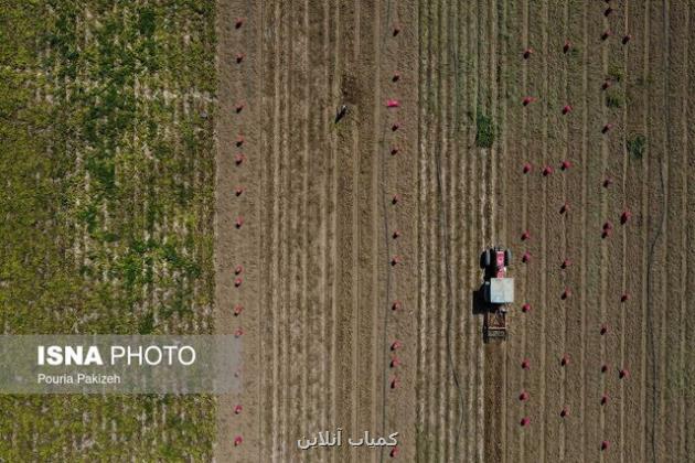 طراحی نقشه راه شورای اطلاع رسانی و ترویج سامانه پنجره واحد مدیریت زمین