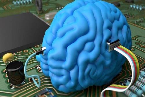 نقشه راه توسعه واسط های مغز و کامپیوتر در کشور تدوین شد