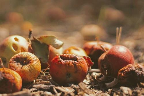 مواد غذایی متهم نتایج آب وهوایی شد