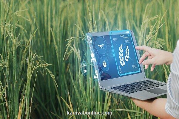 حل مسایل راهبردی کشاورزی با جذب مروج پژوهشگر پسادکتری