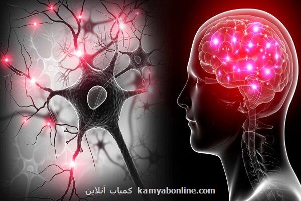 مغز انسان در پیری هم عصب می سازد