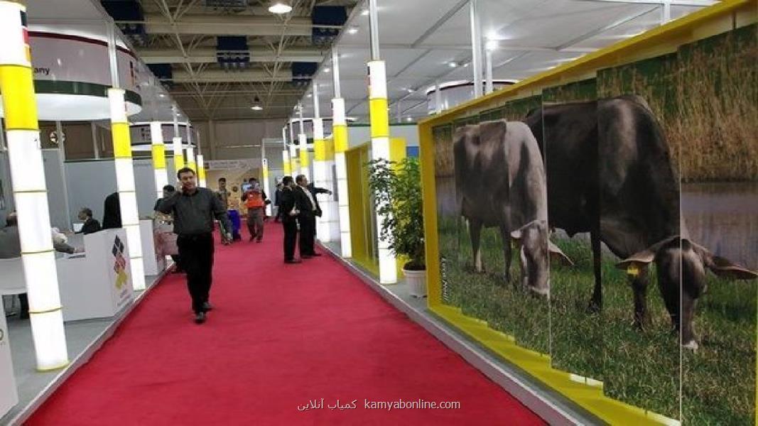 نخستین نمایشگاه نوآوری دام و طیور اینوفارم
