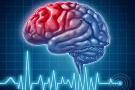 برگزیدگان سمپوزیوم مجازی تازه های نقشه برداری مغز عرضه شدند