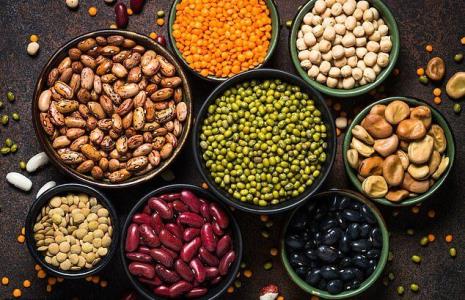 مصرف پروتئین های گیاهی یك دهه دی اكسید كربن را از جو زمین پاك می كند