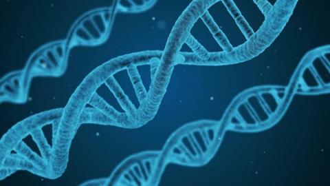 استفاده از DNA در تولید ربات ارزان برای درمان سرطان