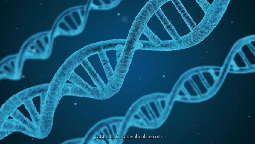 استفاده از DNA در تولید ربات ارزان برای درمان سرطان