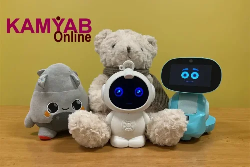 جمع آوری خرس هوشمند پس از شکست در فیلترینگ محتوا